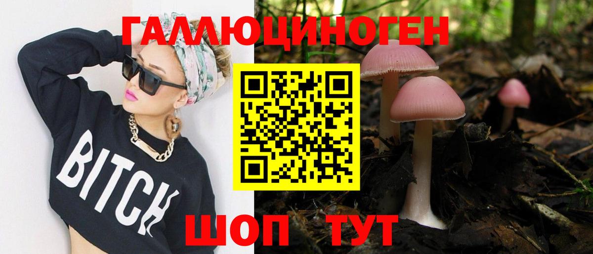 Новоуральск  Псилоцибиновые грибы GOLDEN TEACHER  Вход с VPN  Галлюциногенные грибы ЛСД 